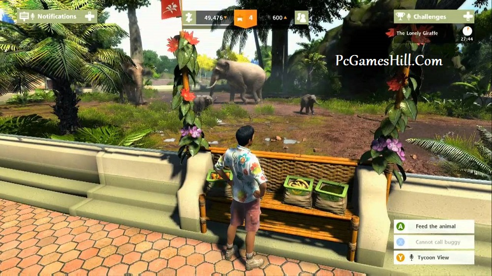 Zoo Tycoon Gameplay